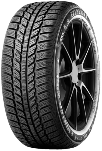 Шины Evergreen EW62 205/65R15 94H