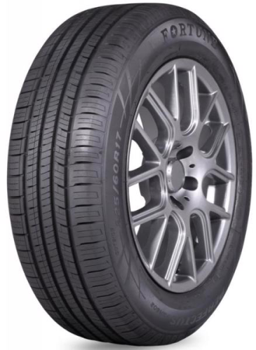 Шины Fortune Perfectus FSR602 205/65R15 99H